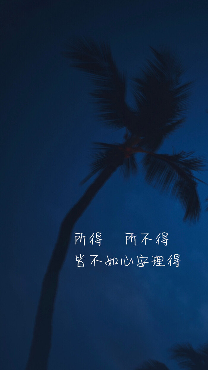 晚安文艺短语句子美图,愿你不悲不喜不自怜,浊酒一杯敬你先