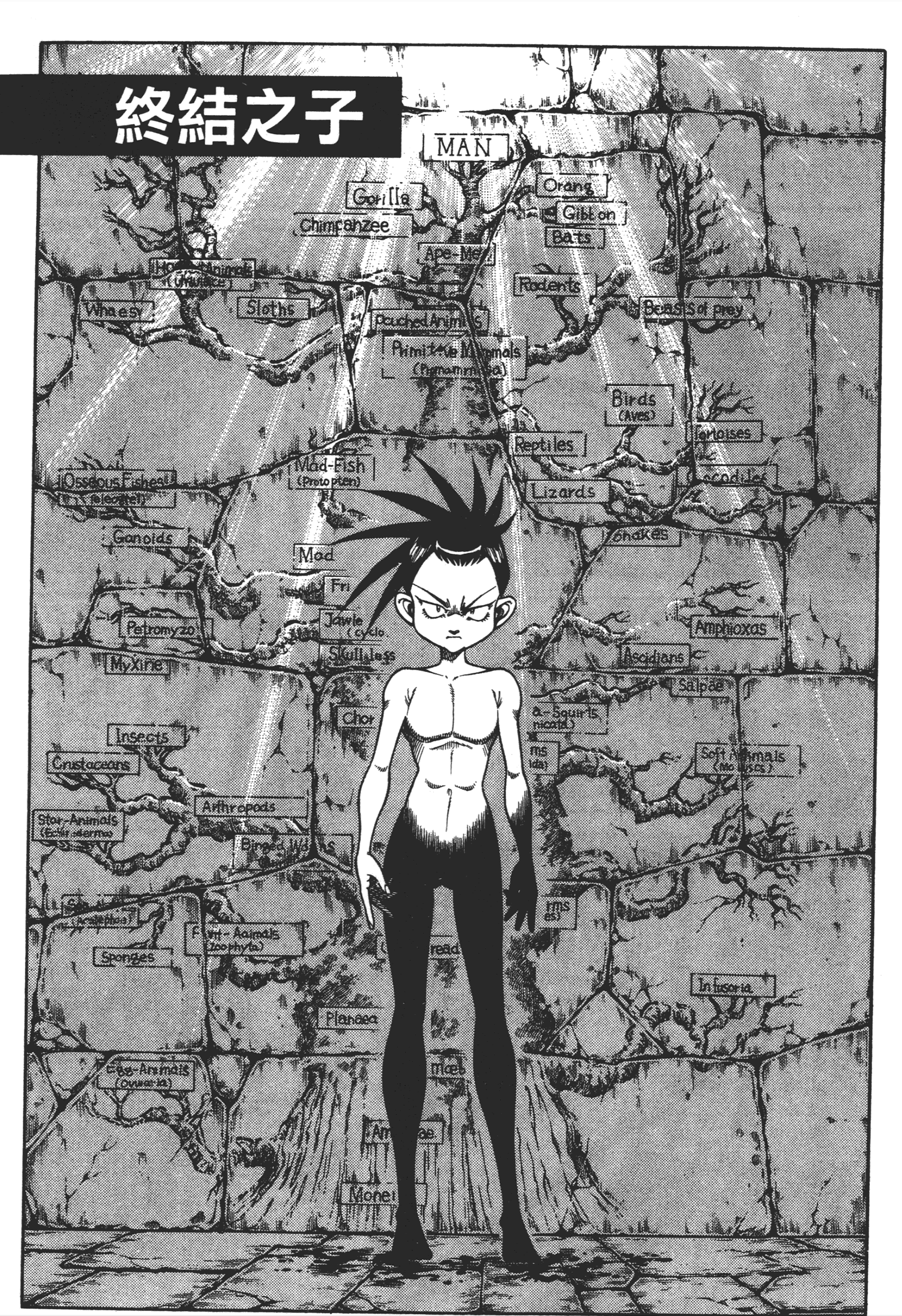 《小类人》漫画中的各种类人型进化物种,荻野真冷门趣作