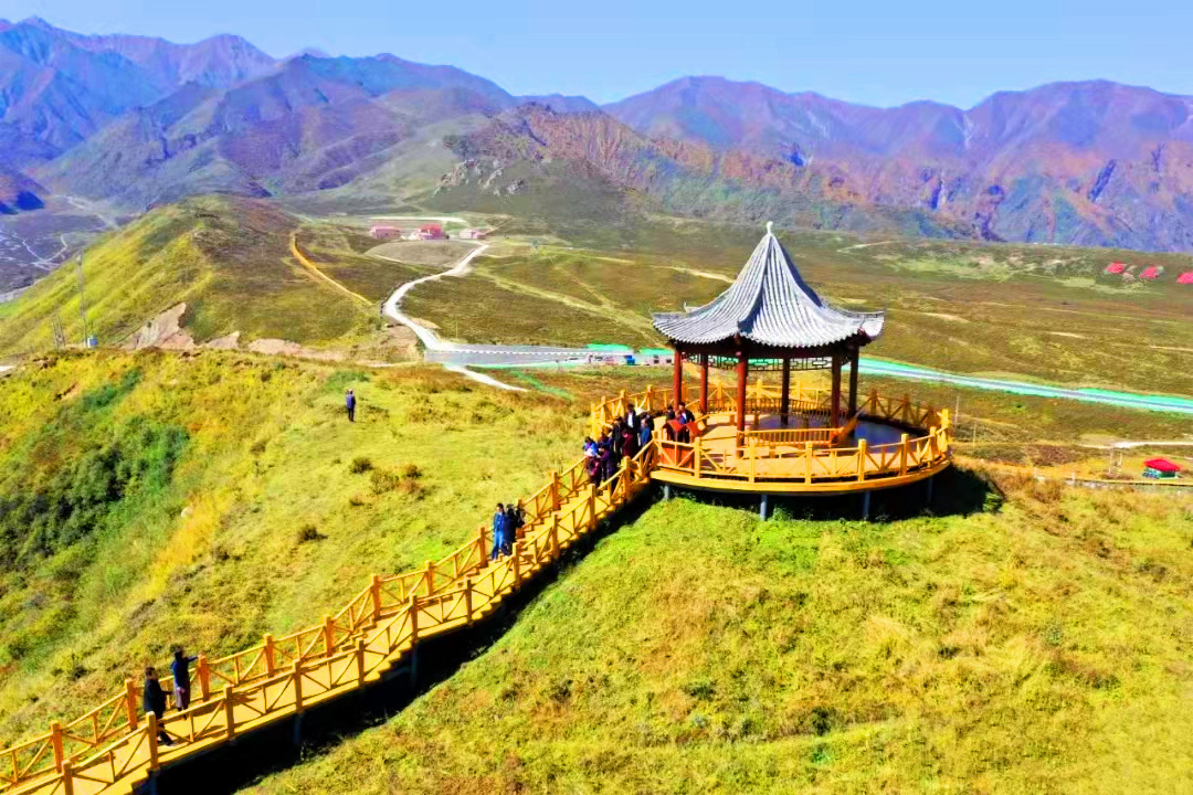 黄草坪,那片魂牵梦绕的格桑花海!