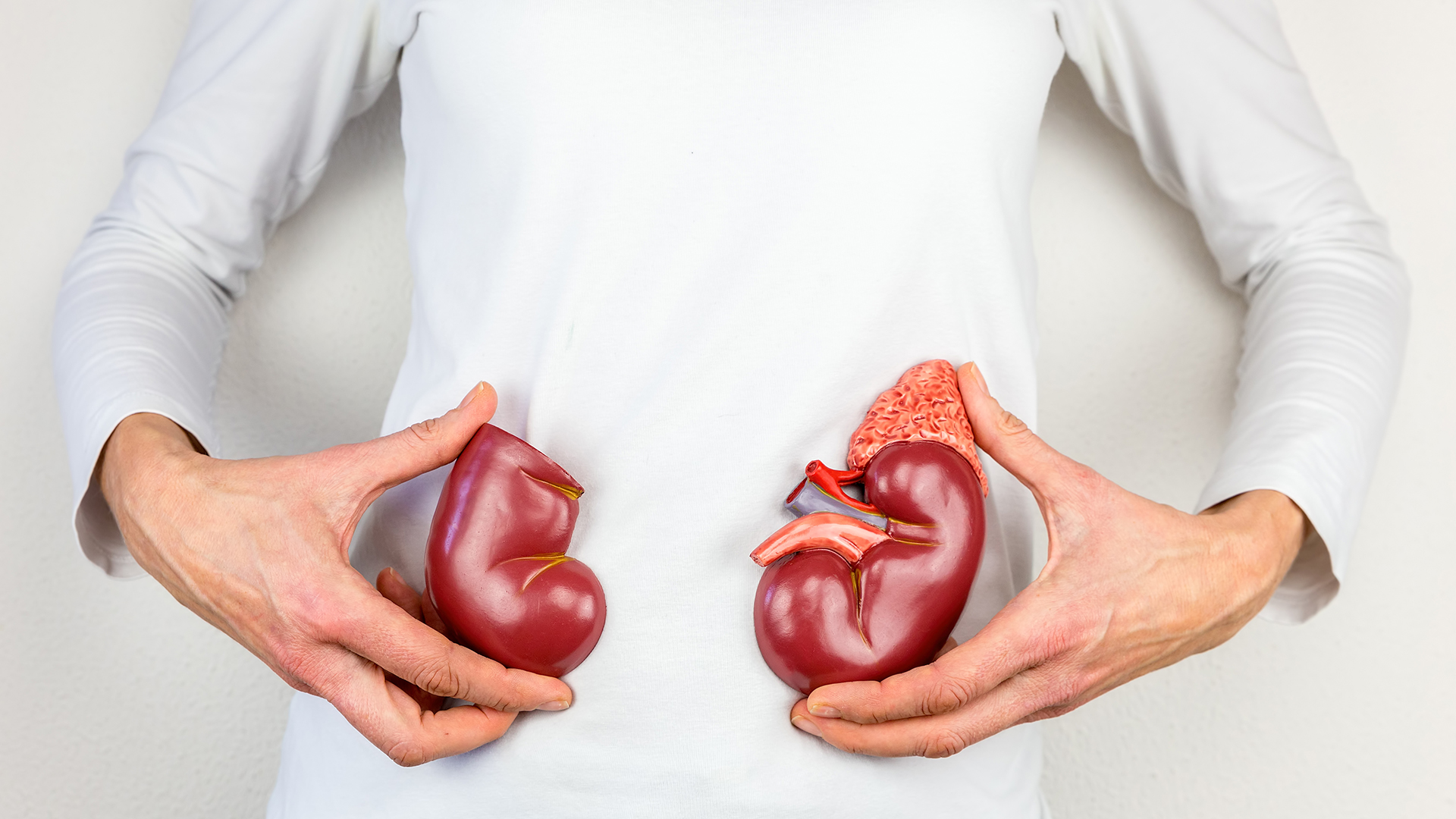 肾病跟哪些原因有关?高危人群有哪些?避免伤肾有哪些养护原则呢