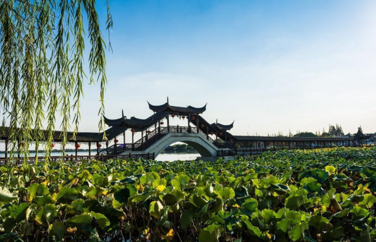 "东方威尼斯"在江苏,景点冷门游客不多,景色堪比"乌镇"