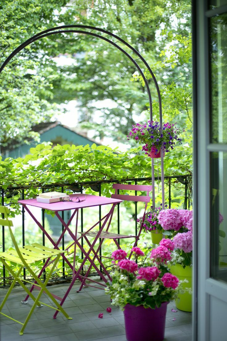 3平米的小阳台,也能变花园,别再浪费堆杂物了,多养点这种花