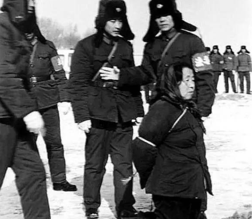 新中国女首贪王守信:贪腐五十多万被判死刑,枪毙前大喊:我没罪