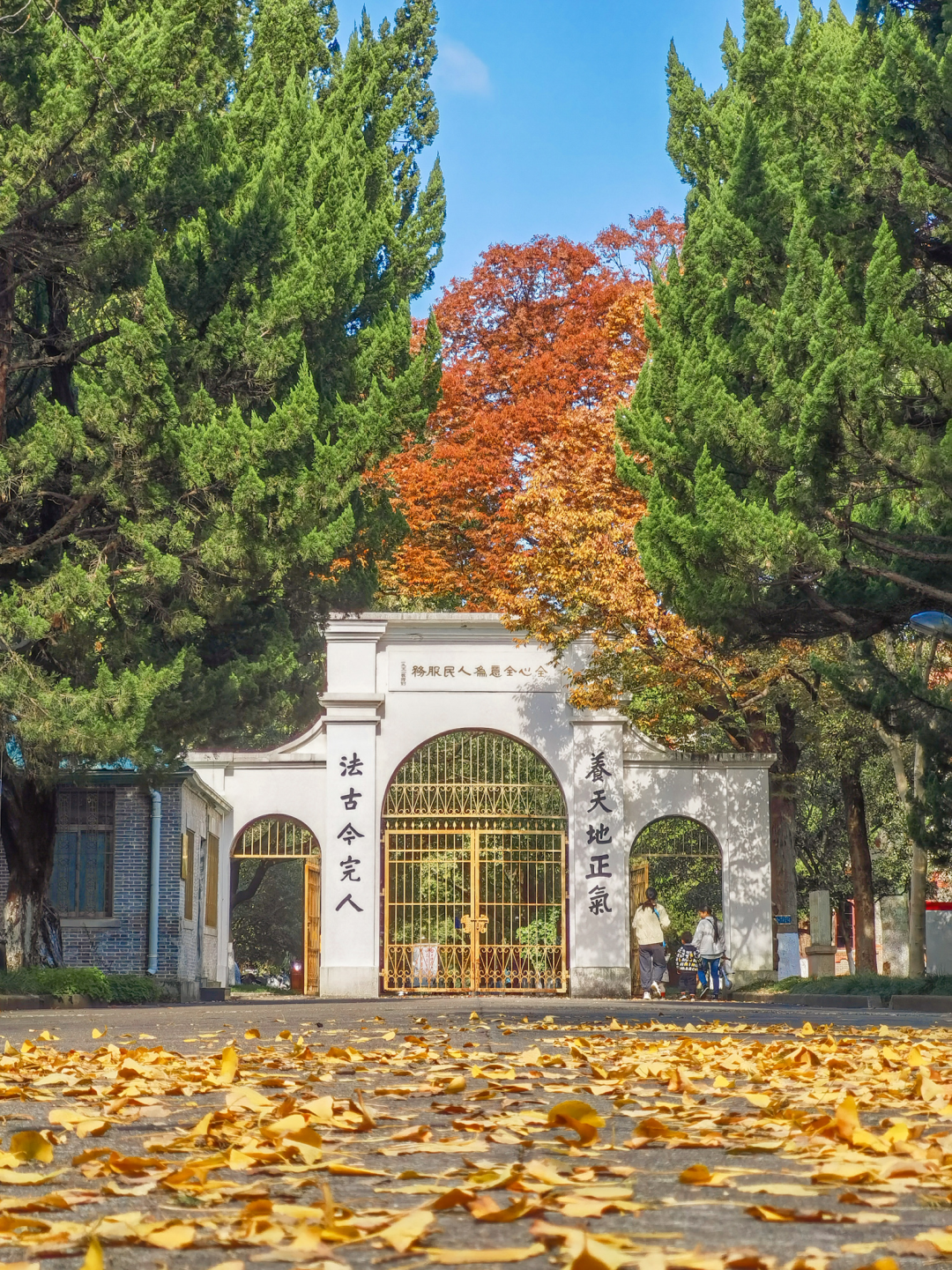 苏州大学校门图片高清图片