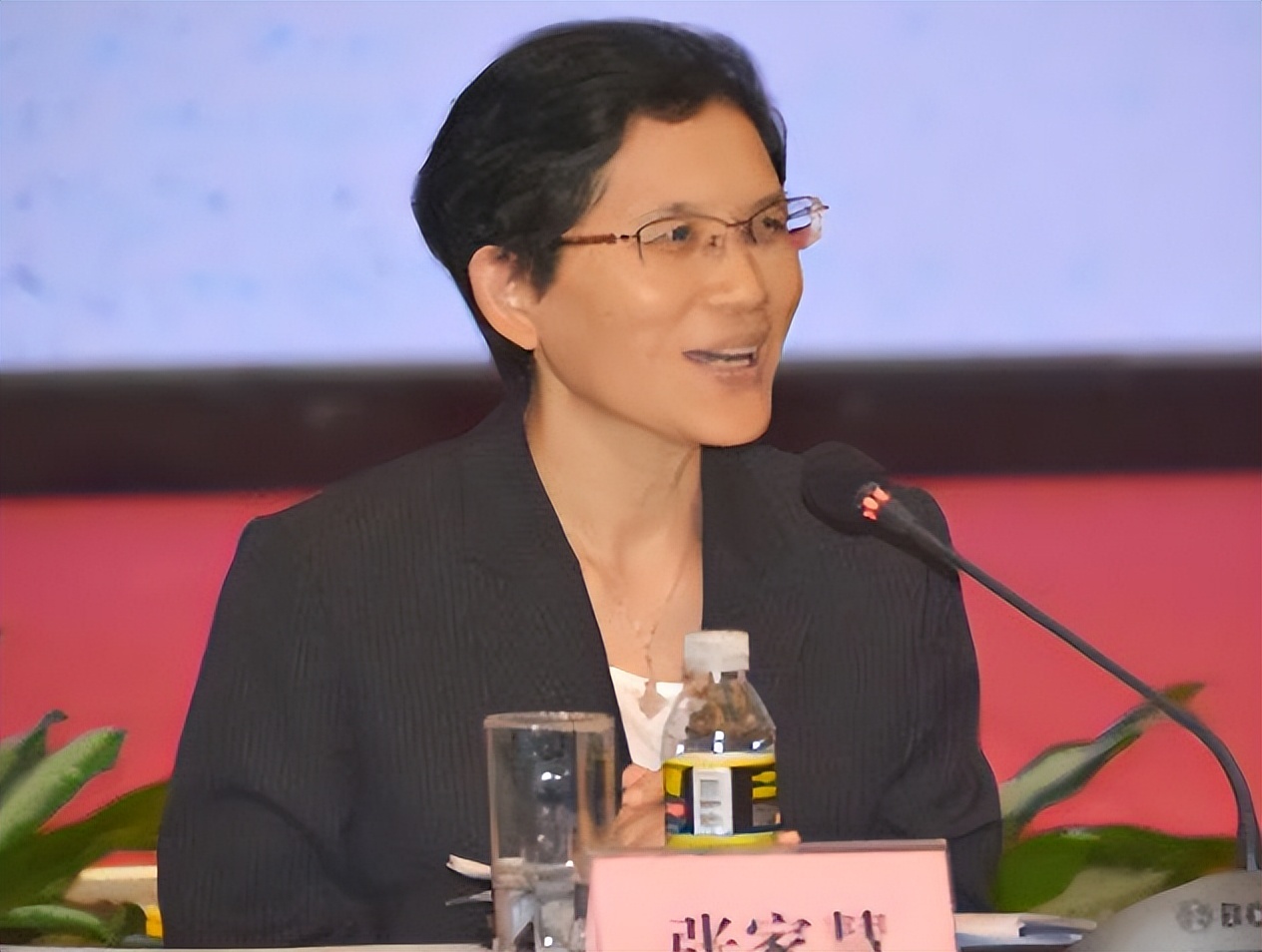 海南巨贪张家慧,身家高达200亿,因麻将桌上一句话暴露