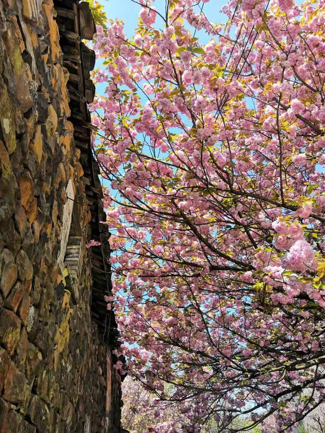 说是"浙江无量山"一点都不夸张