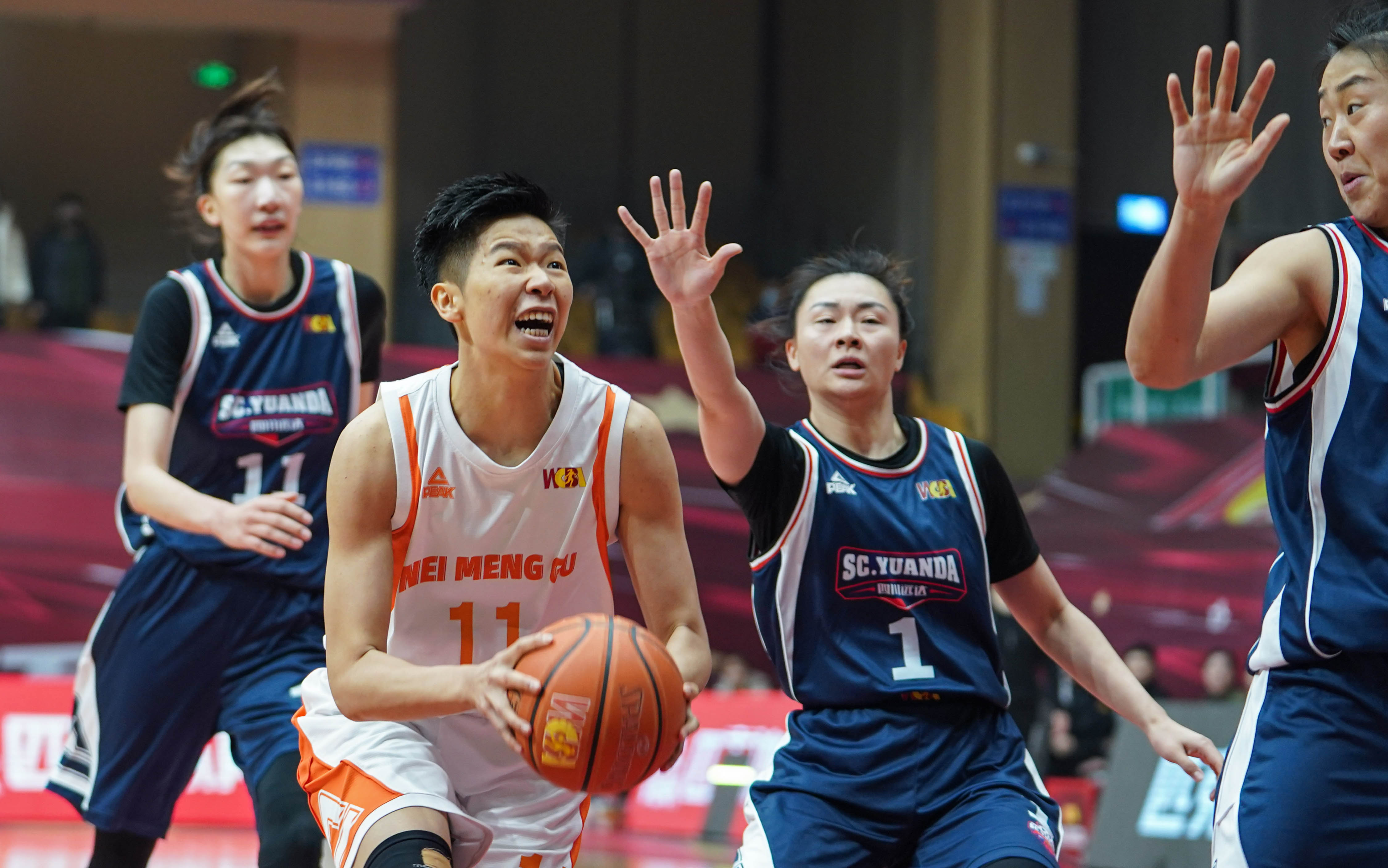 篮球——内蒙古女篮卫冕wcba总冠军