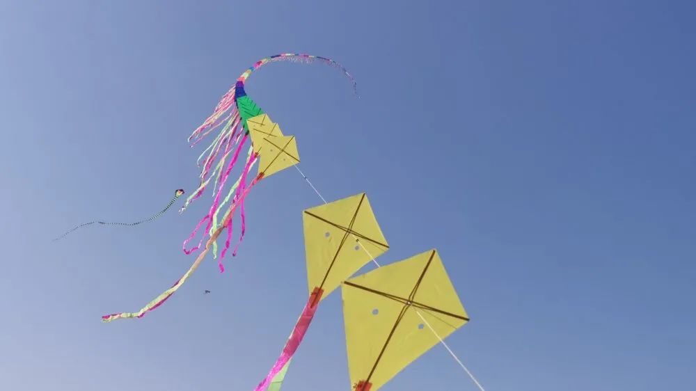 早安,烟台(02月28日)——通告!休渔时间定了!