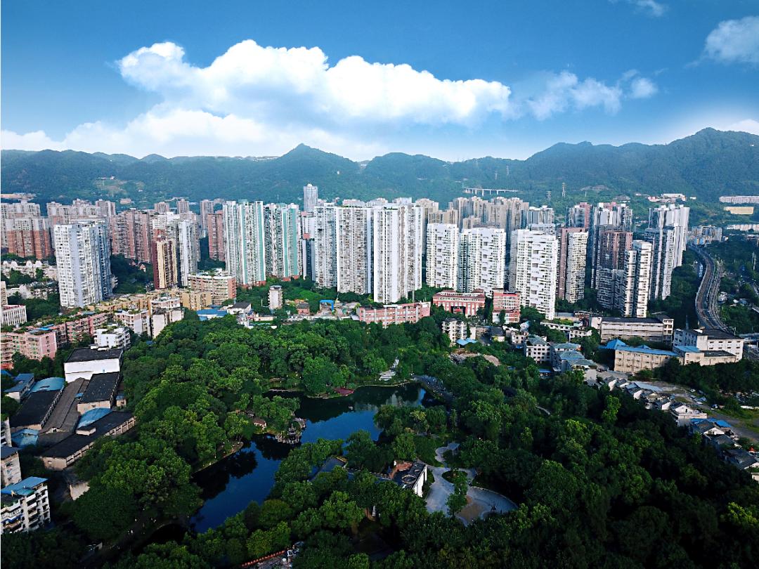 冬日暖阳打翻调色盘,美在沙坪公园里!