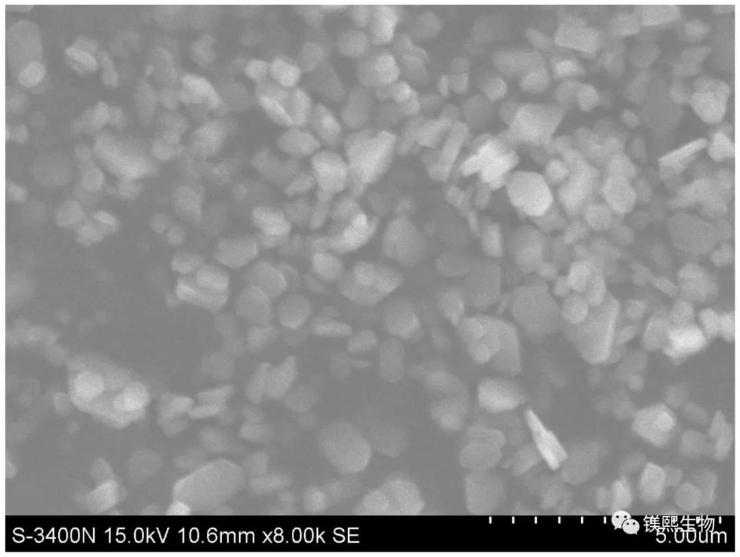 结晶-水热法制备六角片状氢氧化镁