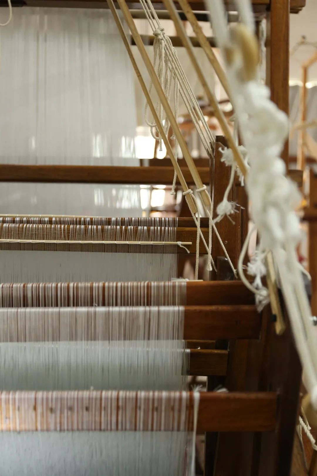 江南织造府首店亮相豫园商城文昌街!