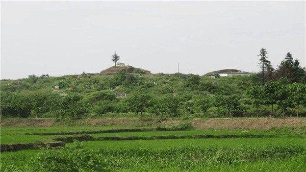 墎墩山原本是當地村民的祖墳山,山上隨處都是墳冢,不少墳墓因為年代