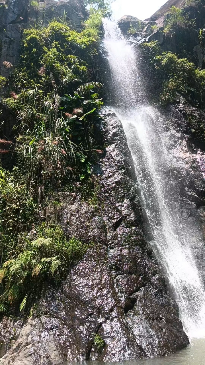 仙游县游洋镇五星村沽洲清水坑瀑布的美景欣赏