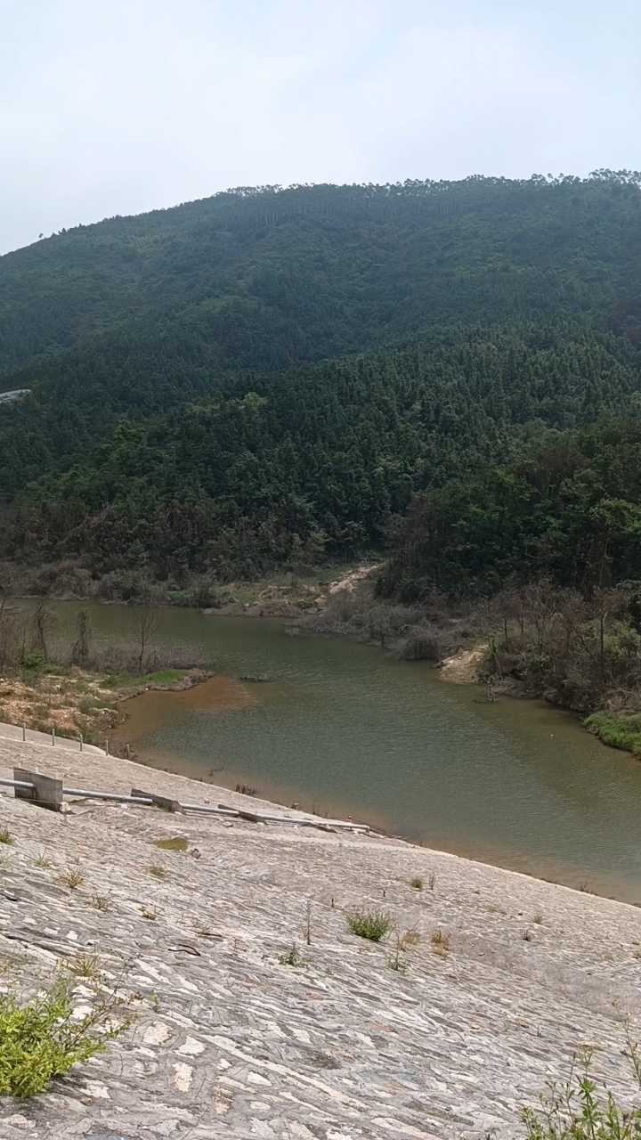 莆田市东海镇坪洋村西头小水库秋天的风景