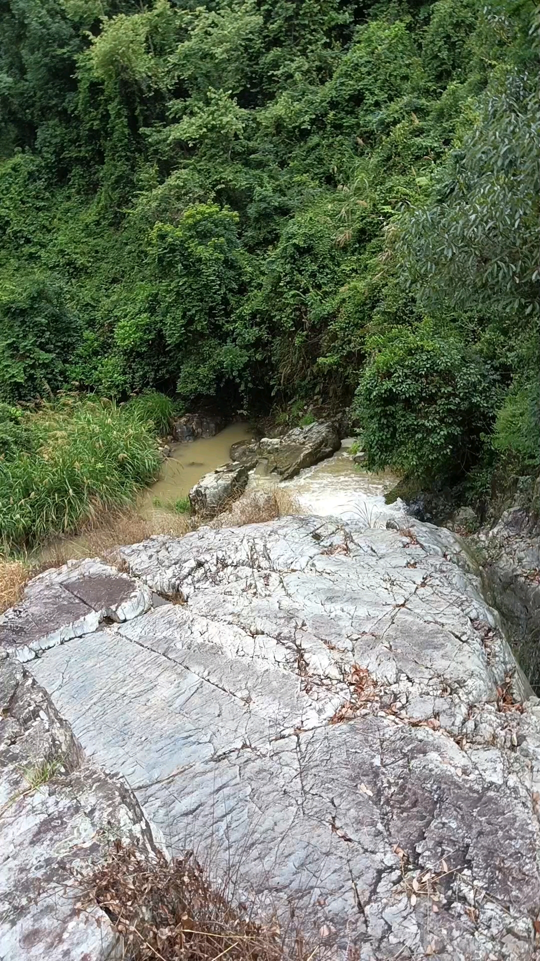 东山县坑北村图片