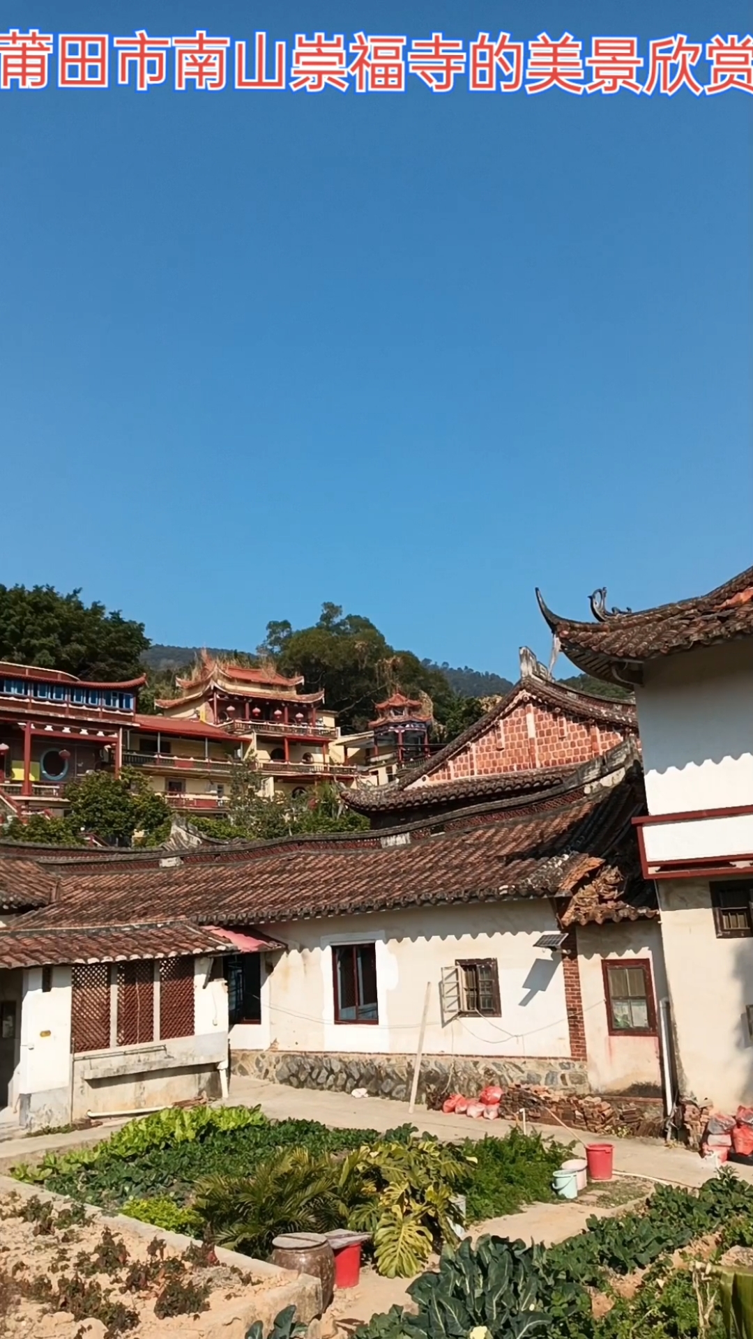 莆田南山崇福寺图片