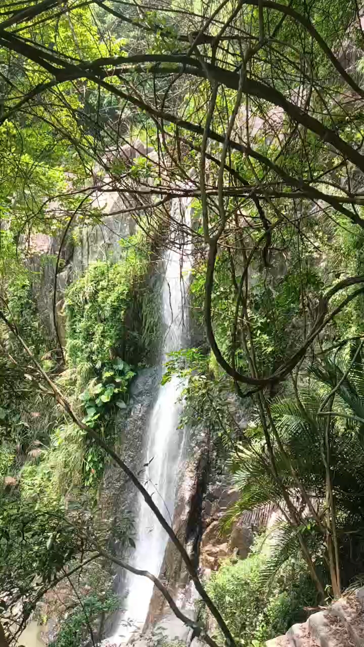 仙游县游洋镇五星村沽洲清水坑瀑布的美景欣赏