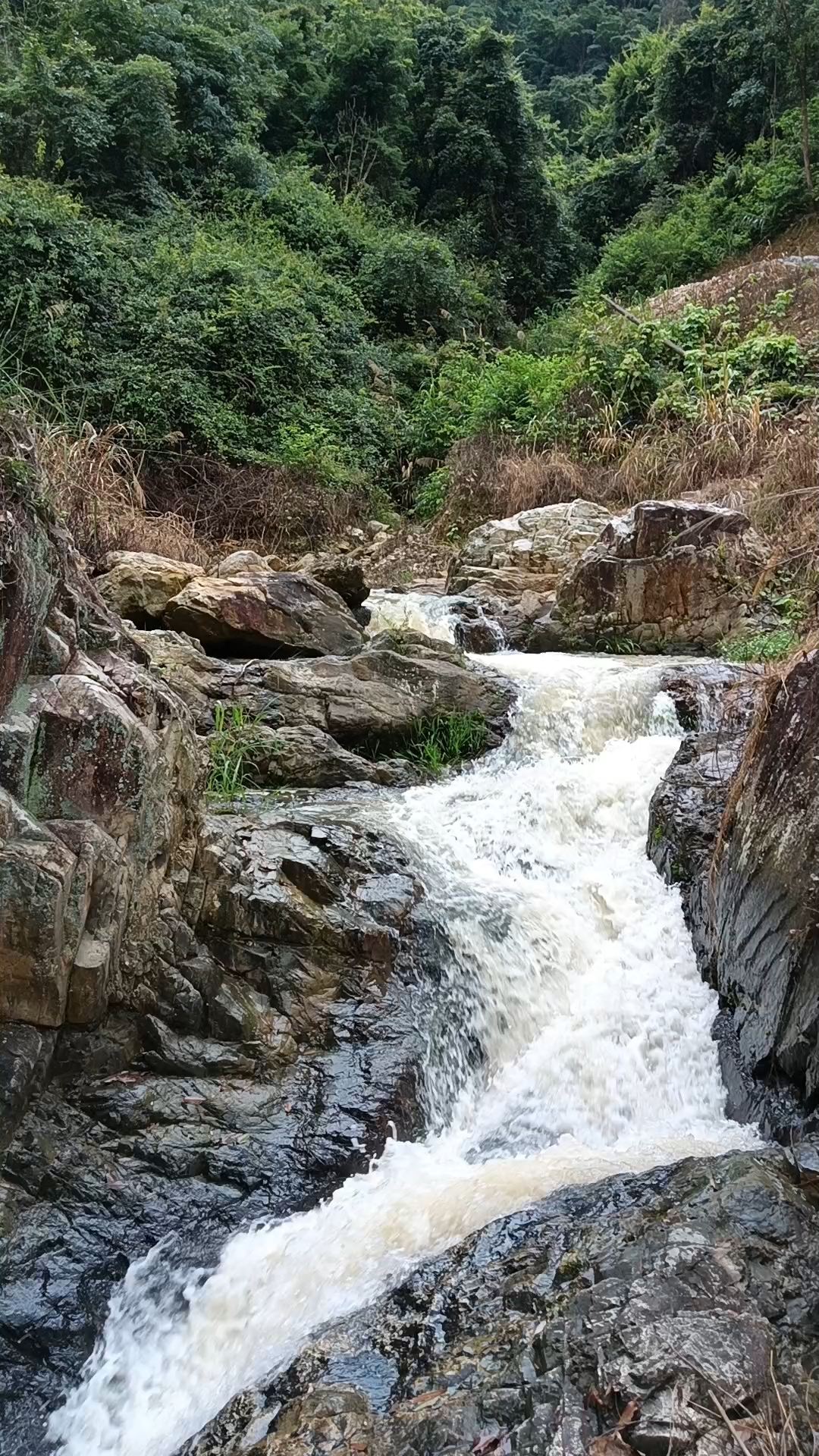 东山县坑北村图片