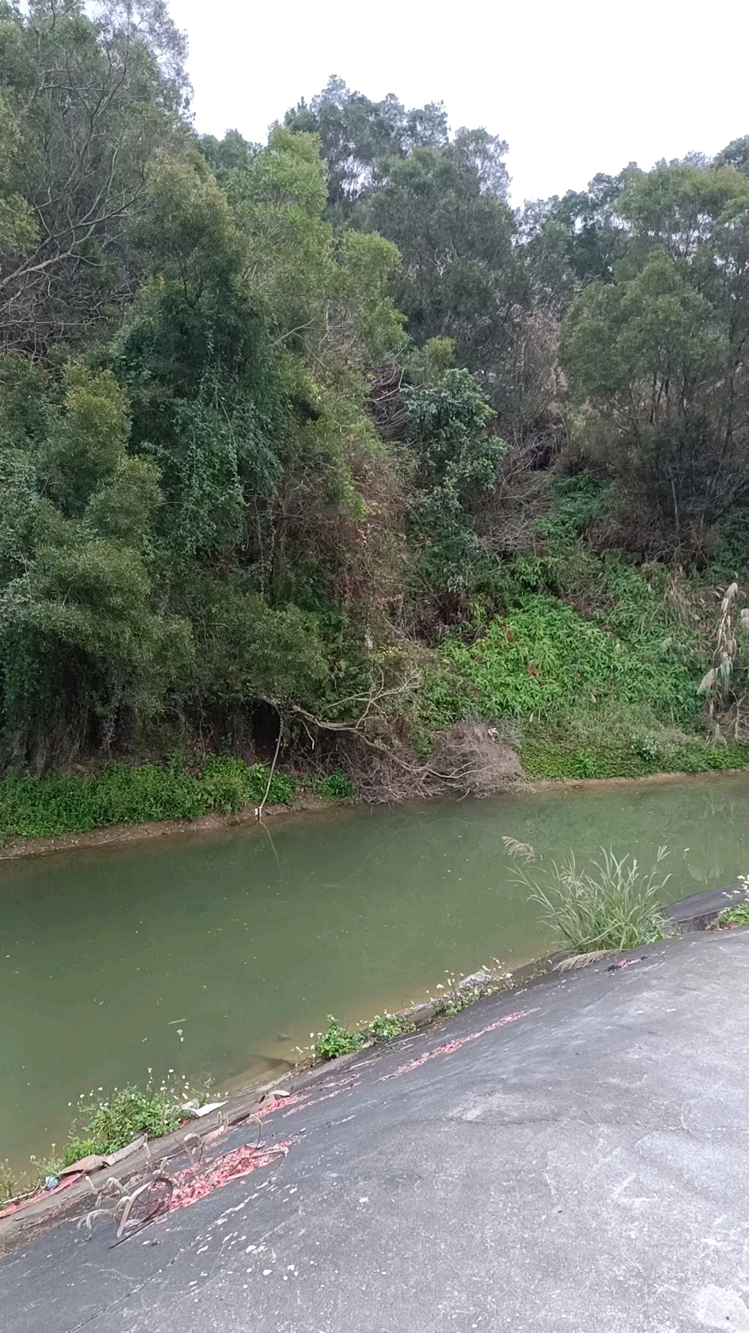 莆田市西天尾去石盘水库沿途的风景