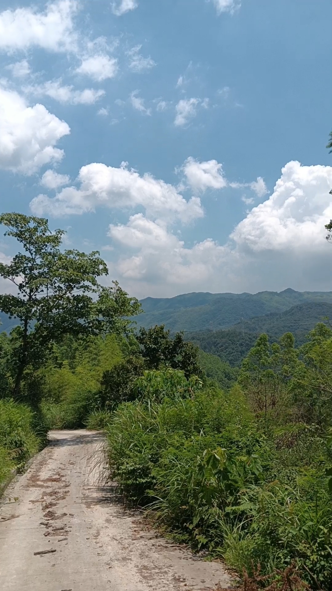 罗田天马山图片