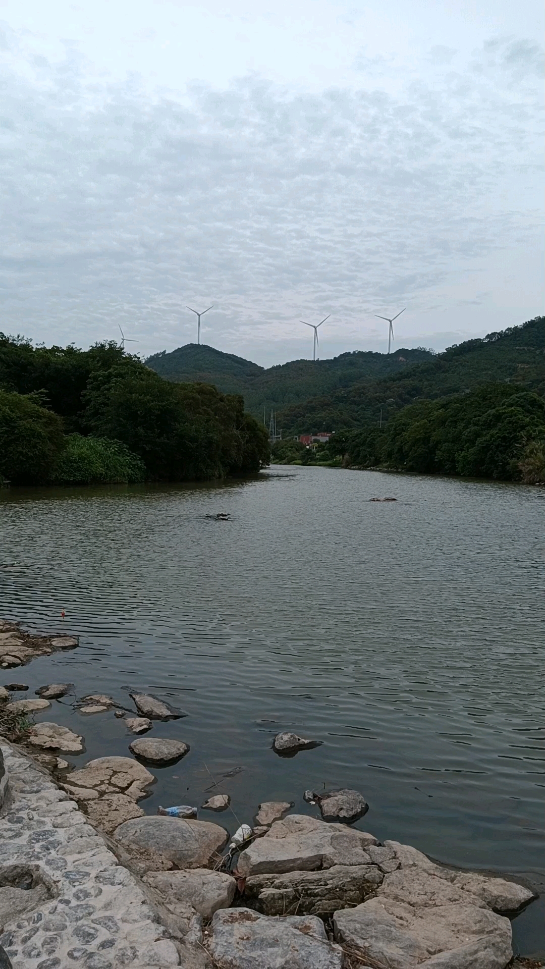 江口东大村风景图片