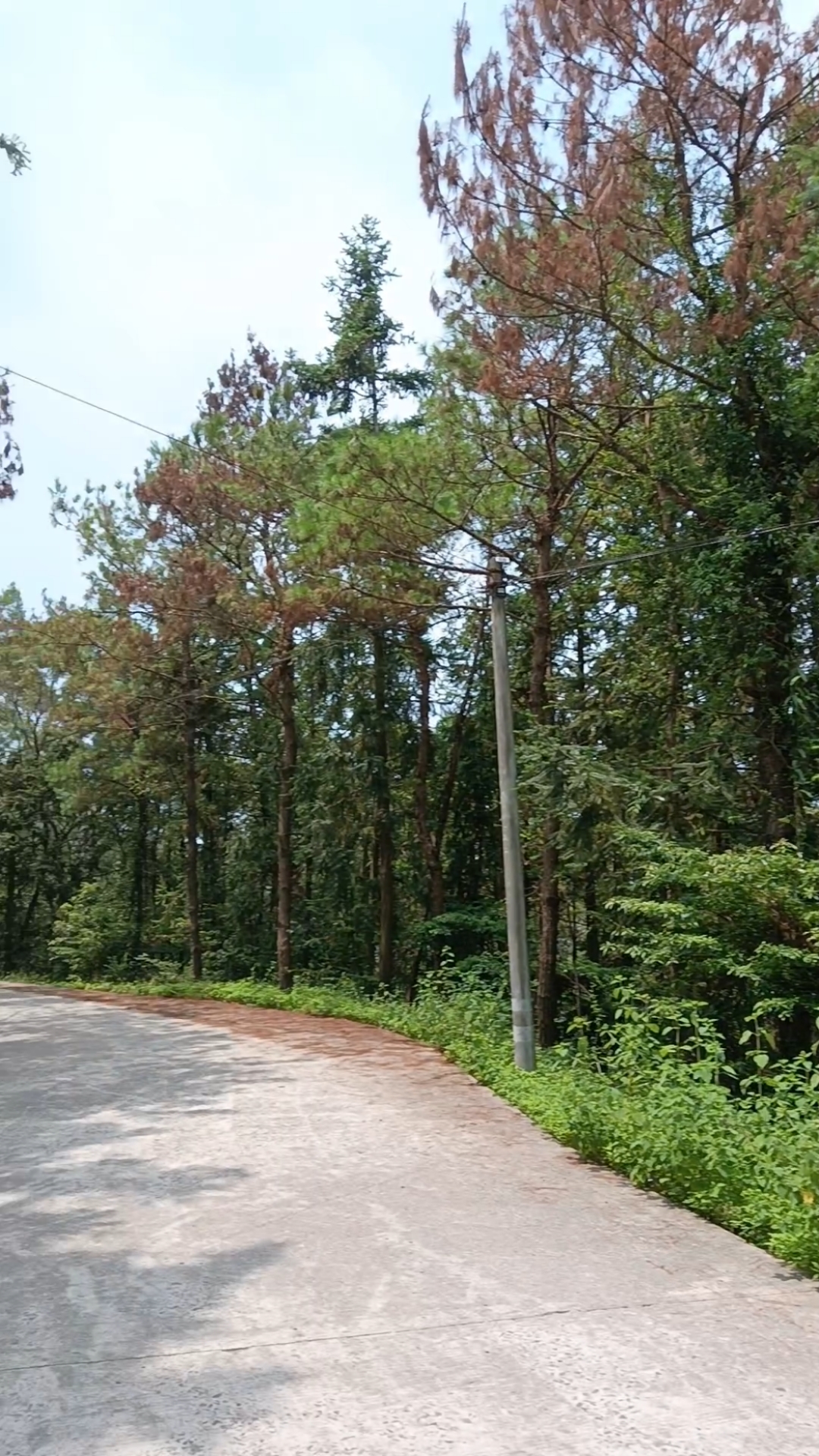 莆田市东海镇坪洋村秋天的山景