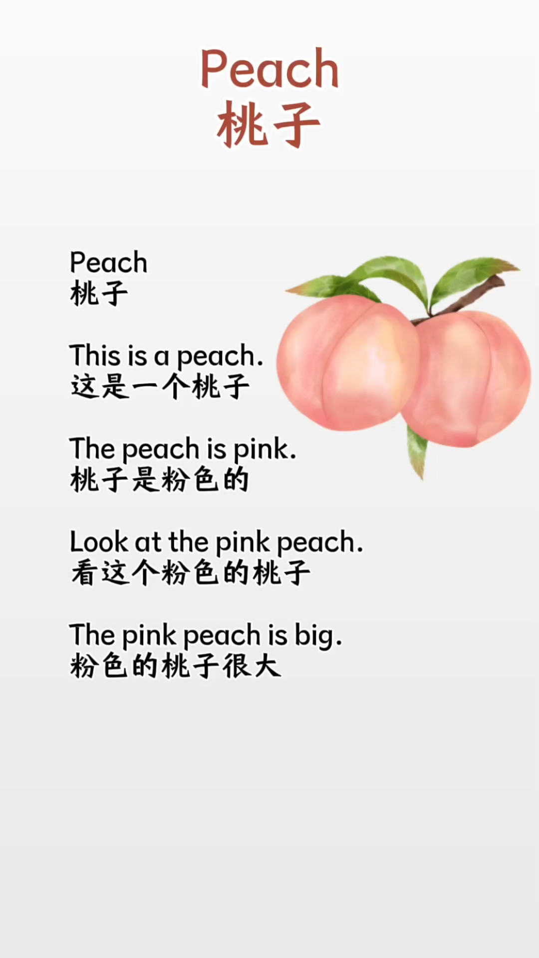 英语晨读短文21天打卡计划