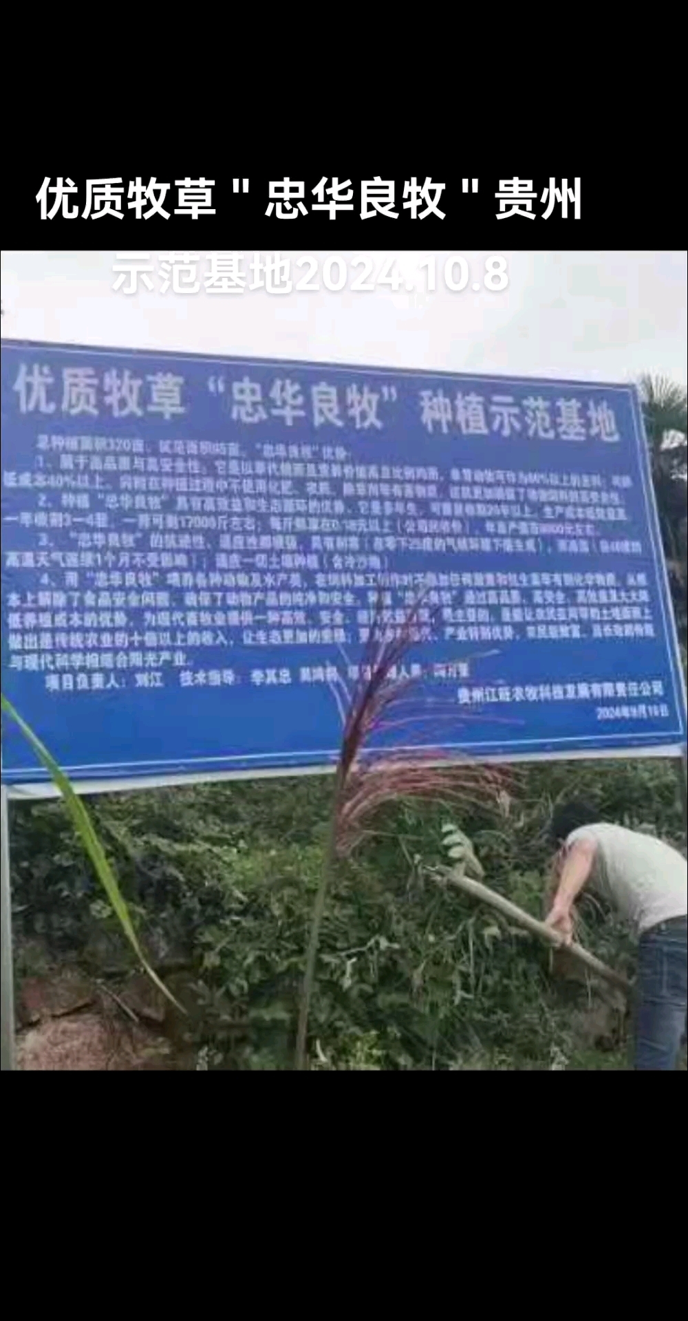 虎臣良牧图片