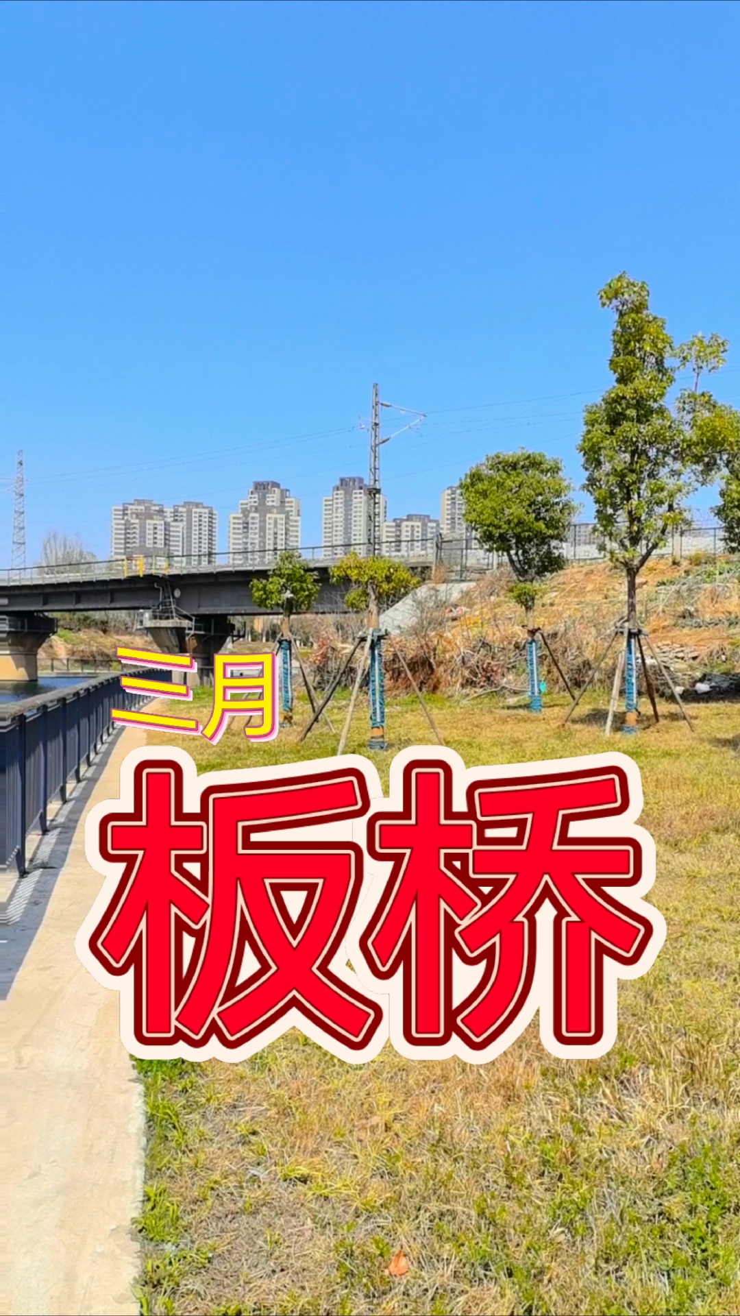 板桥天气
