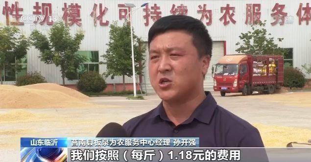 推荐|“一年损失一个吉林”，中国每年粮食产后损失700亿斤，如何全链条节粮减损？