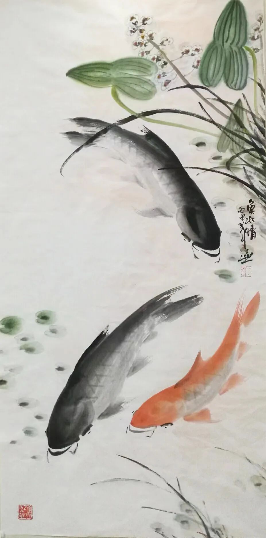 鱼的画怎么题词图片
