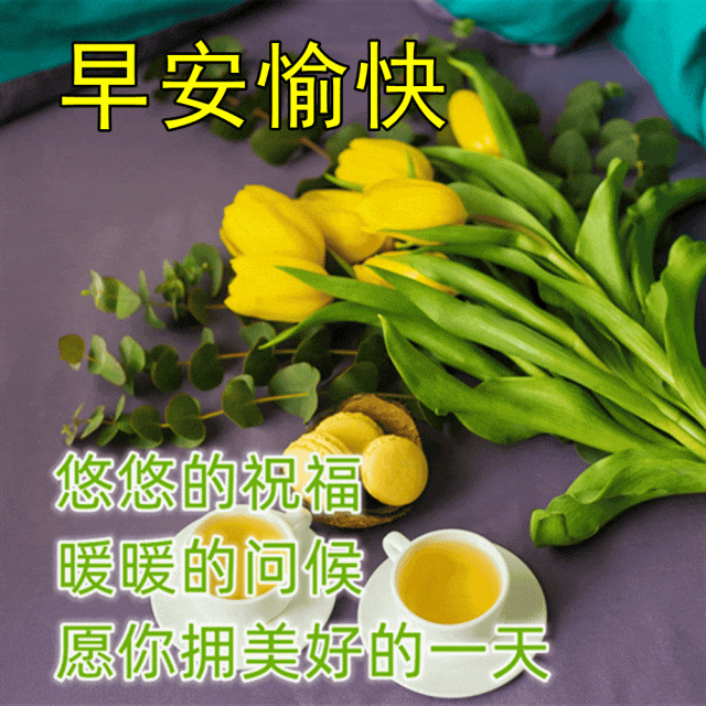 激励人奋斗的早安正能量句子,温暖治愈的早上好唯美问候语