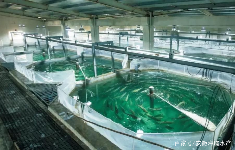 最新水产养殖技术 最新水产养殖技术规范