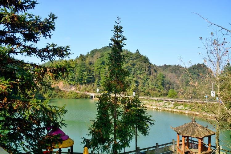 避暑房 四面山避暑房:桃都养生谷