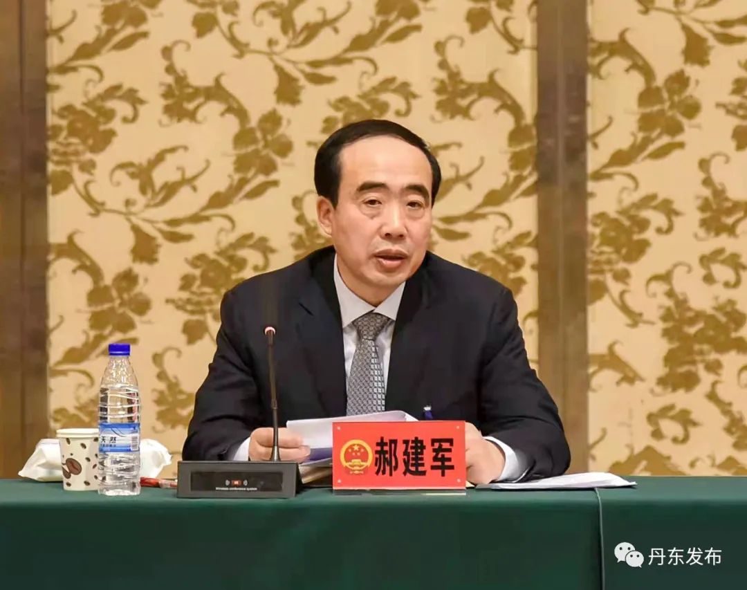 【两会】郝建军参加凤城代表团审议