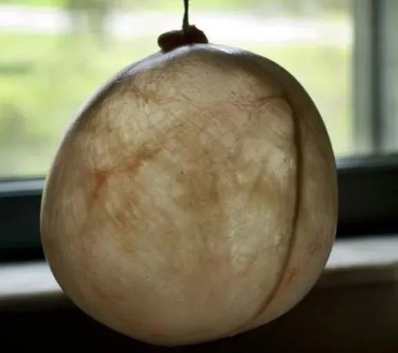 再精壮的汉子,吃了猪尿泡,万事皆简单