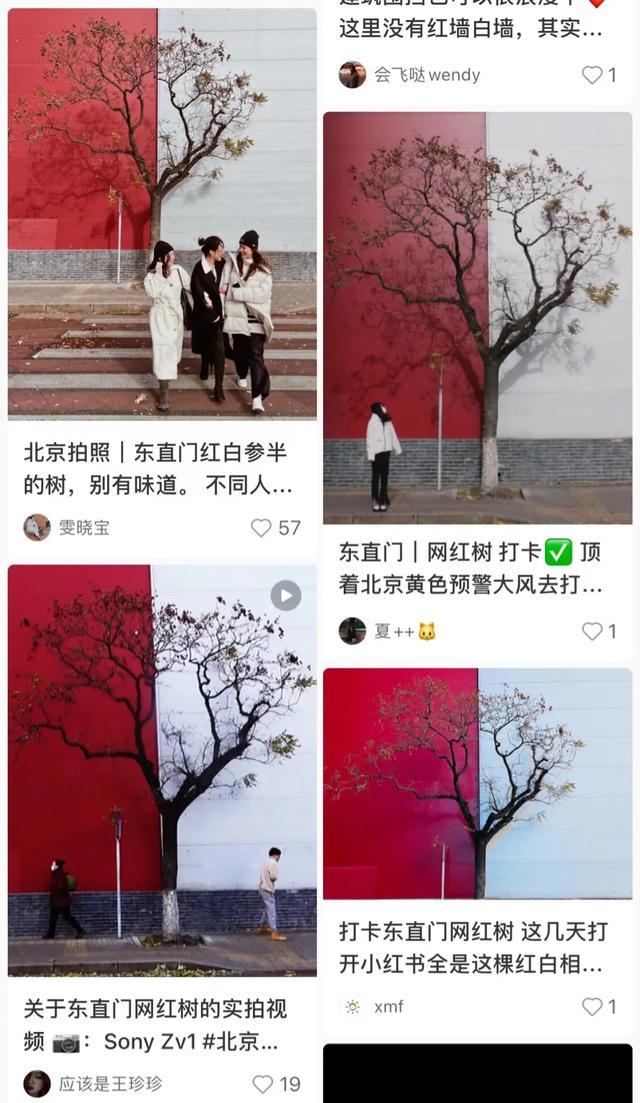 天悦登录意外成了网红打卡地的“东直门树” 被贴小广告处理