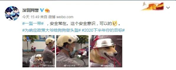 推荐为了骑行安全,连狗狗都戴头盔了!表情包火遍全网,网友:太可爱