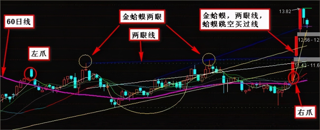 周线金蛤蟆形态图片