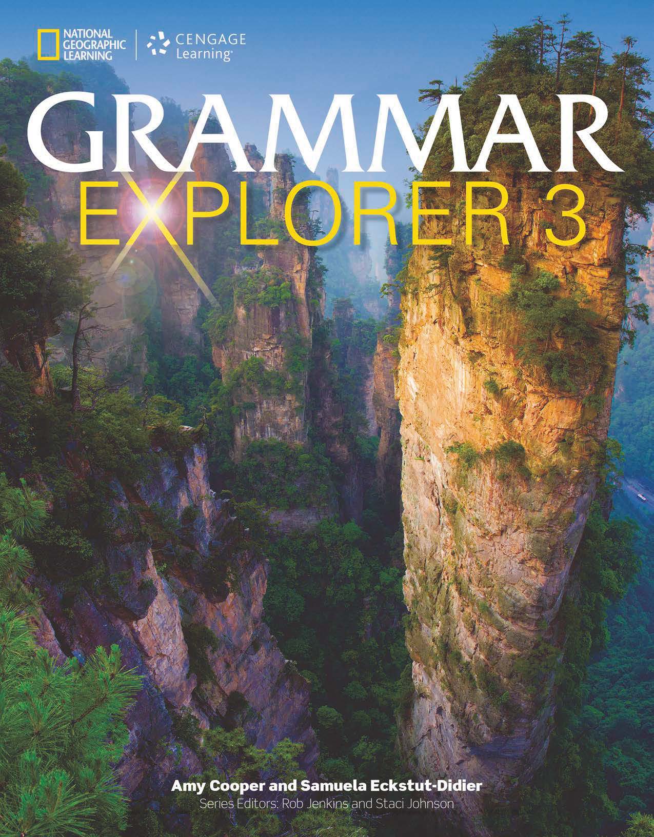 grammar explorer 青少年语法英文教材pdf
