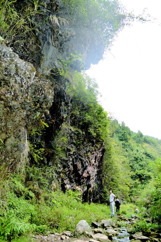 红军后卫团神秘失踪，中央三次调查无果，70年后山村民俗还原真相 ..._图1-8