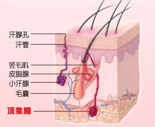 女朋友夏天狐臭,真是要了我的老命