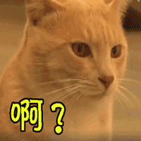 收手吧!再这样养猫,小心猫咪"黑下巴"找上门