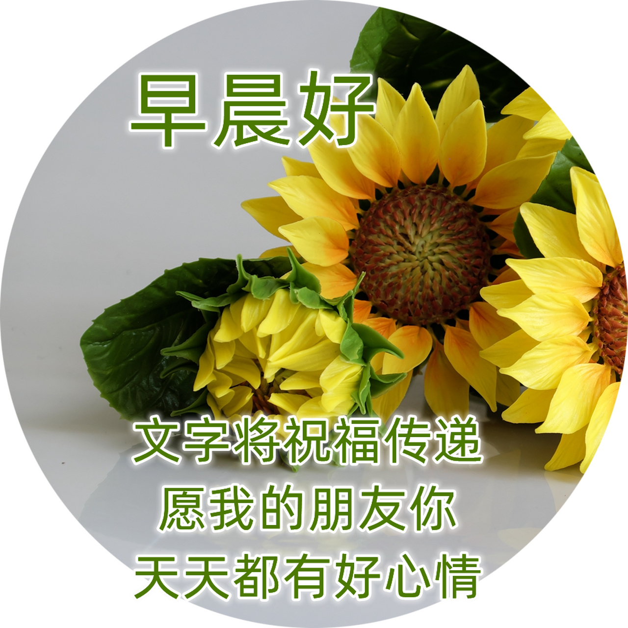 微信朋友圈最漂亮的唯美早上好图片 朋友圈新版早上好早问候句子 1