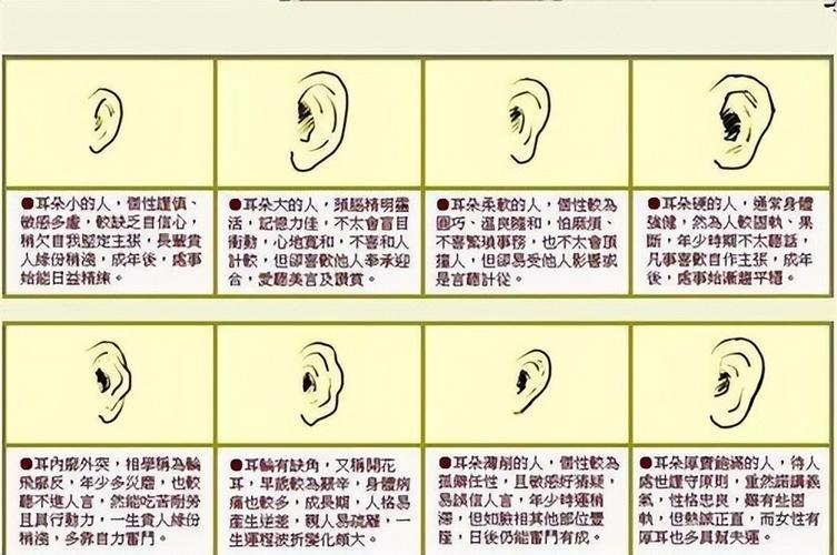 心理学:这8种耳朵的形状,暴露了一个人的性格