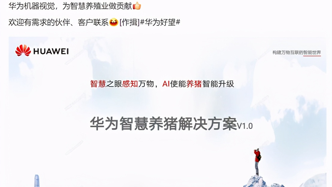 对华为推智慧养猪解决方案的技术层次解读