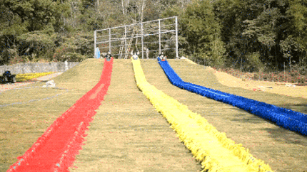 在樱花盛放,漫天粉雪中,一起来中山坦洲快活谷乐园游玩吧