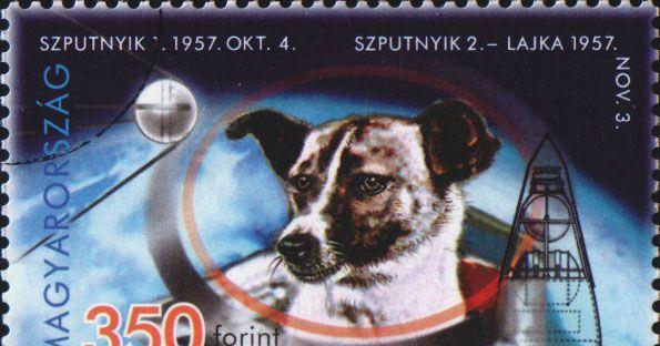 60年前被送上太空的小狗莱卡,如今怎么样了?
