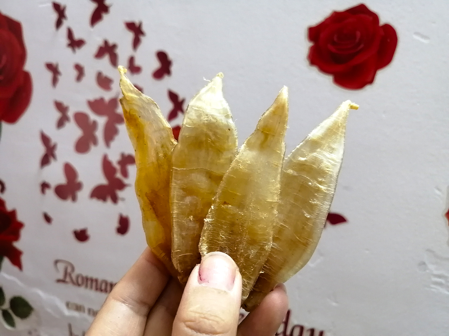 金龙鱼胶——提高大脑功能预防缓解男性不育增强身体免疫力