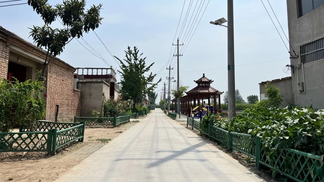 丰县范楼镇:房前屋后花果香,人居环境展新颜